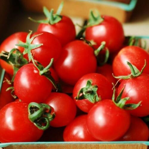 VEGETABLE CHERRY TOMATO SWEET MILLION F1 FRESH VIABLE SEEDS – UK STOCK